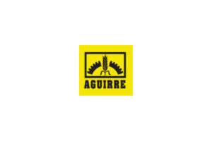 Logo Aguirre 1 300x200